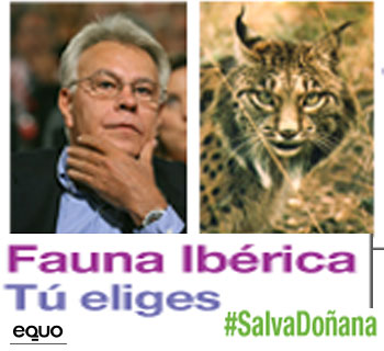 Poltica 24h