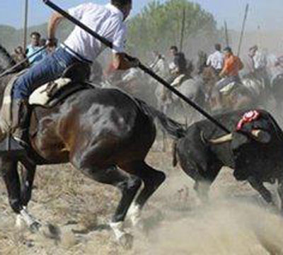 Noticia de Politica 24h: EQUO reclama la eliminacin definitiva del denigrante espectculo del Toro de la Vega