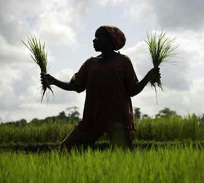 Noticia de Politica 24h: Oxfam advierte que los progresos realizados en la lucha contra el hambre son alarmantemente lentos