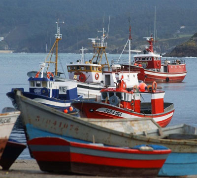 Noticia de Politica 24h: El nuevo acuerdo pesquero con Marruecos es muy beneficioso para la flota espaola