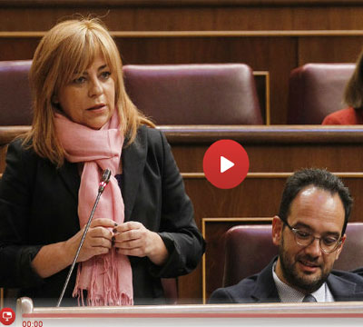 Noticia de Politica 24h: Valenciano acusa a Gallardn de querer 