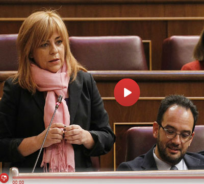 Poltica 24h